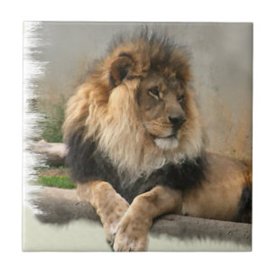 Lion Lovers King of the Oerwoud Tegeltje