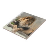 Lion Lovers King of the Oerwoud Tegeltje (Zijkant)