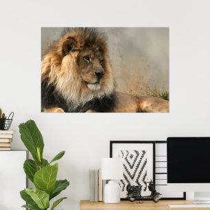 Lion Lovers Lion in Rest Poster