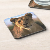 Lion Lovers Vrouw Lioness Onderzetter (Linkerzijde)