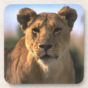 Lion Lovers Vrouw Lioness Onderzetter