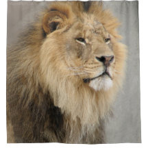 Lion Lovers Wildlife Shower Curtain