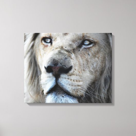 Lion luistert naar mijn hartslag Afrika Canvas Afdruk (Voorkant)