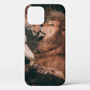 LION LYING ON BROWN ROCK Case-Mate iPhone CASE