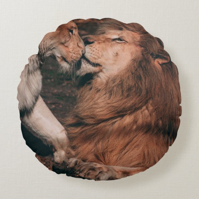 LION LYING ON BROWN ROCK ROND KUSSEN (Voorkant)