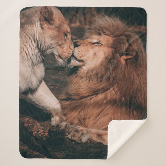 LION LYING ON BROWN ROCK SHERPA DEKEN (Voorkant)