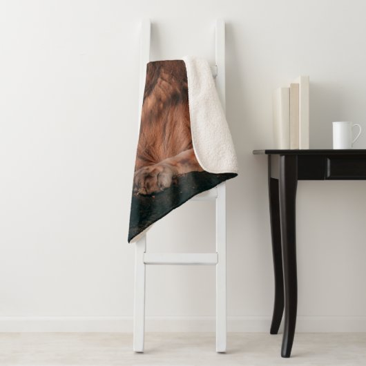 LION LYING ON BROWN ROCK SHERPA DEKEN (In situ)