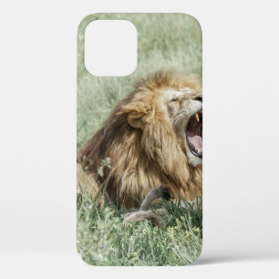 LION LYING ON GREEN GRASS TIS DAG Case-Mate iPhone CASE