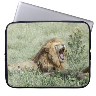 LION LYING ON GREEN GRASS TIS DAG LAPTOP SLEEVE