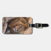 Lion Maasai Mara National Reserve, Kenia Bagagelabel (Voorkant horizontaal)