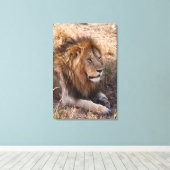 Lion Maasai Mara National Reserve, Kenia Canvas Afdruk (Insitu (Houten vloer))