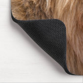 Lion Maasai Mara National Reserve, Kenia Muismat (Hoek)