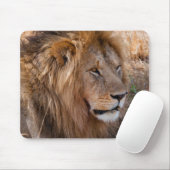 Lion Maasai Mara National Reserve, Kenia Muismat (Met muis)