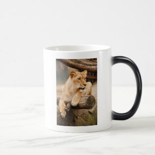 LION MAGISCHE MOK