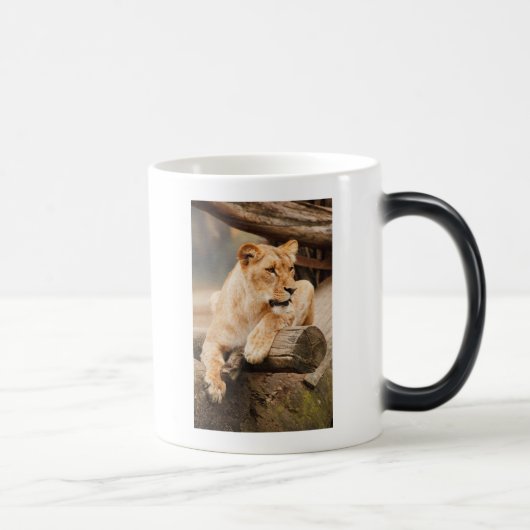 LION MAGISCHE MOK (Rechts)