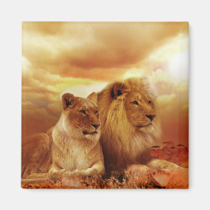 Lion Magneet