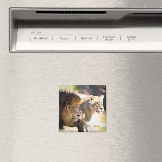 Lion Magneet (Insitu (Vaatwasser))