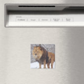 Lion Magneet (Insitu (Vaatwasser))