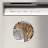 Lion Magneet (Insitu (Vaatwasser))