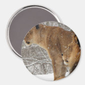 Lion Magneet (Voorkant / Achterkant)