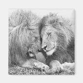 Lion Magneet (Voorkant)