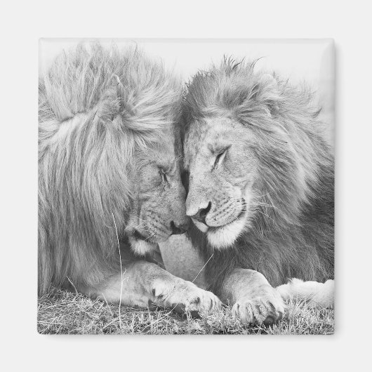 Lion Magneet (Voorkant)