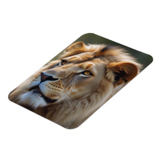 Lion Magneet (Linkerzijde)