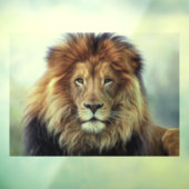 LION MALE GLASS WINDOW CLING RAAMSTICKER (Vel 3)