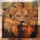 LION MALE GLASS WINDOW CLING RAAMSTICKER (Vel 2)