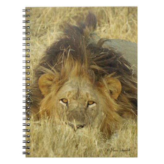 Lion Male Notitieboek (Voorkant)