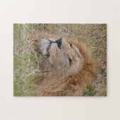 LION MANNELIJK CLOSE-UP legpuzzel (Horizontaal)