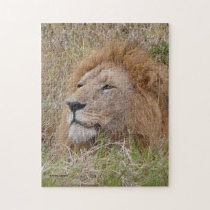 LION MANNELIJK CLOSE-UP legpuzzel