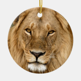 Lion met grote manie keramisch ornament
