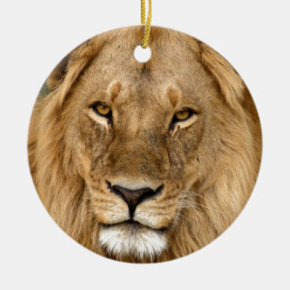 Lion met grote manie keramisch ornament