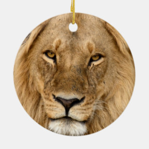 Lion met grote manie keramisch ornament
