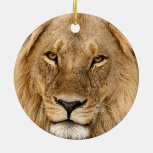 Lion met grote manie keramisch ornament (Achterkant)