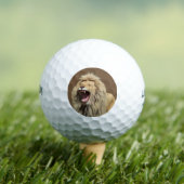 Lion met hoge spanning golfballen (Insitu Shirt)