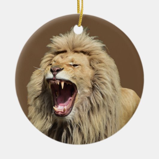 Lion met hoge spanning keramisch ornament (Voorkant)