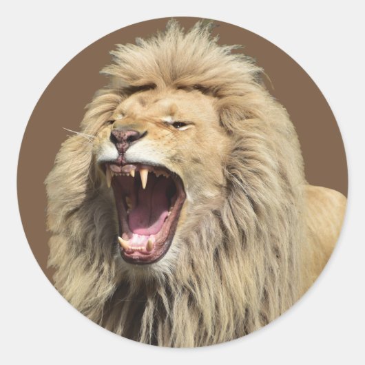 Lion met hoge spanning ronde sticker (Voorkant)
