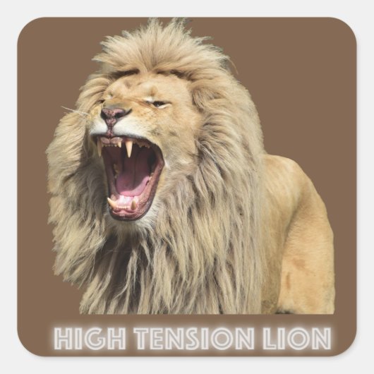 Lion met hoge spanning vierkante sticker (Voorkant)