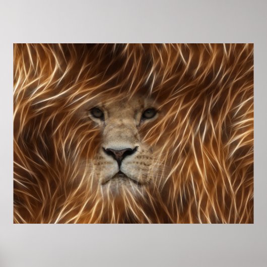 Lion met lange Posters (Voorkant)