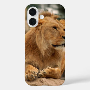Lion met punk haarstijlen iPhone 16 hoesje