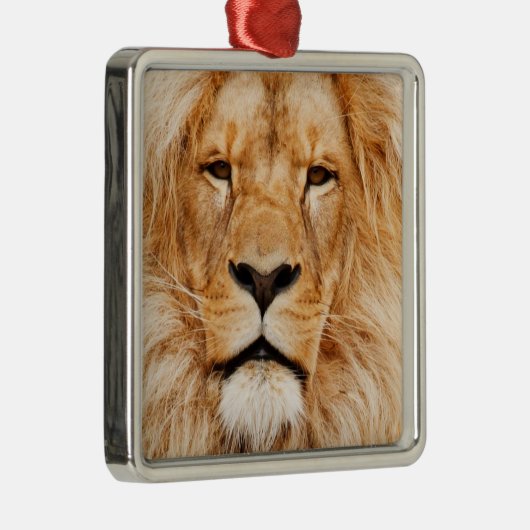 Lion Metalen Ornament (Rechts)