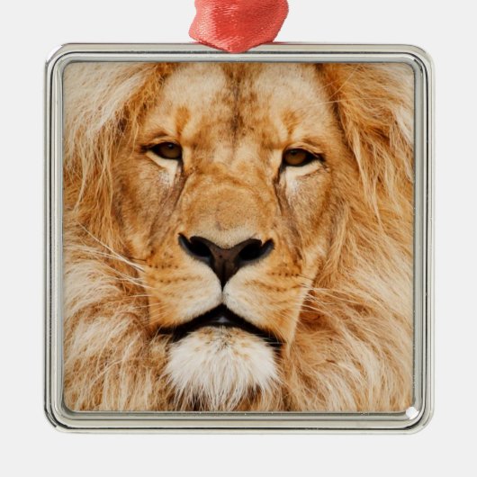 Lion Metalen Ornament (Voorkant)