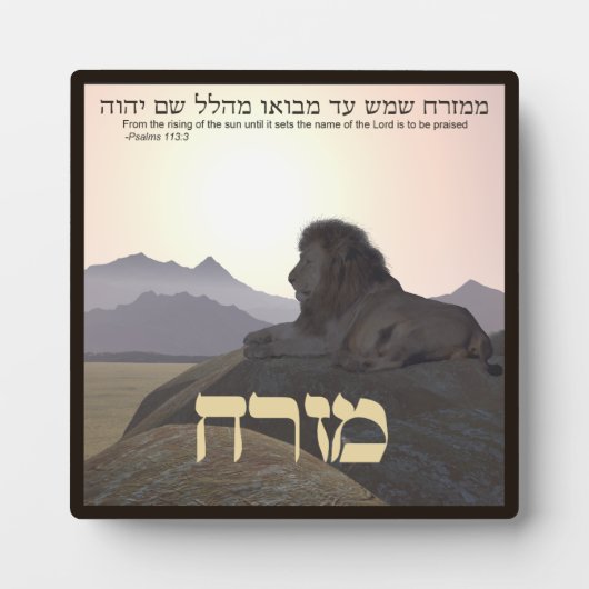 Lion Mizrach Fotoplaat (Voorkant)