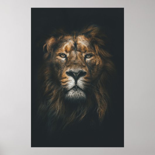Lion Modern Photography Poster (Voorkant)