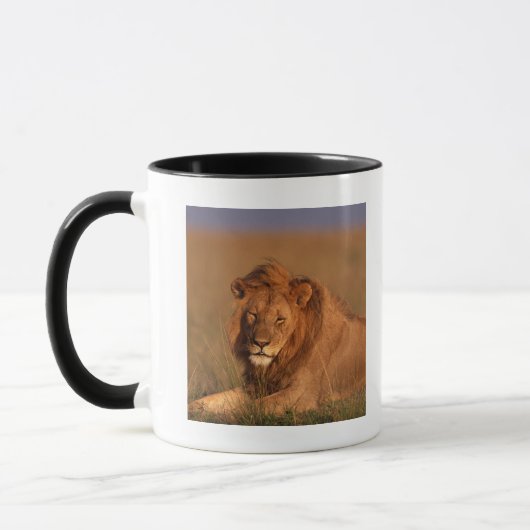 Lion Mok (Links)