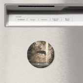 Lion Monument en fontein, Lucerne, Zwitserland Magneet (Insitu (Vaatwasser))