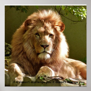 Lion motivatie quote poster