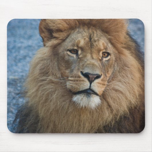 Lion Mousepad Muismat (Voorkant)